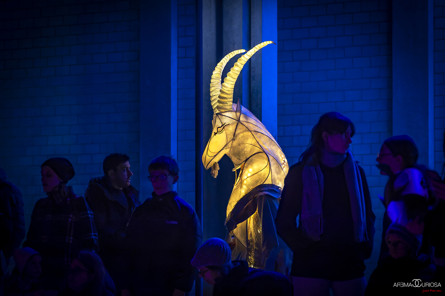 20251204_Daniel_Calabrese_5