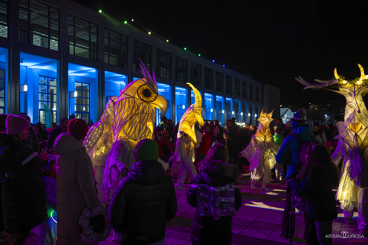 20251204_Daniel_Calabrese_6