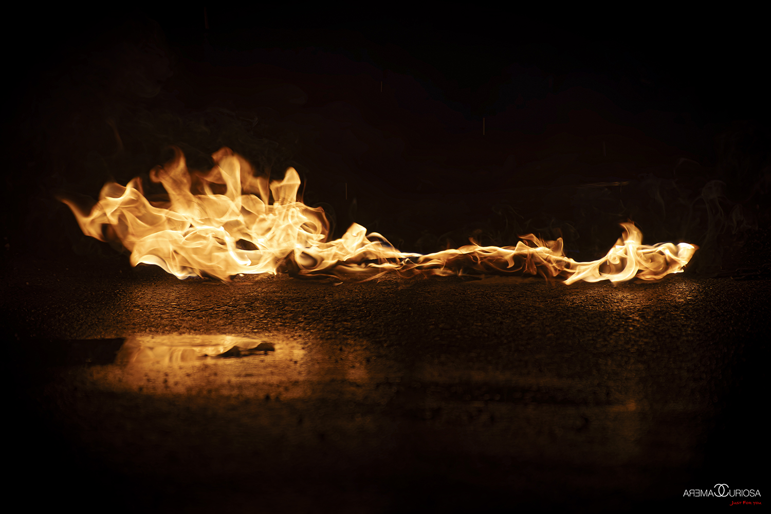 20251206_Daniel Calabrese_1