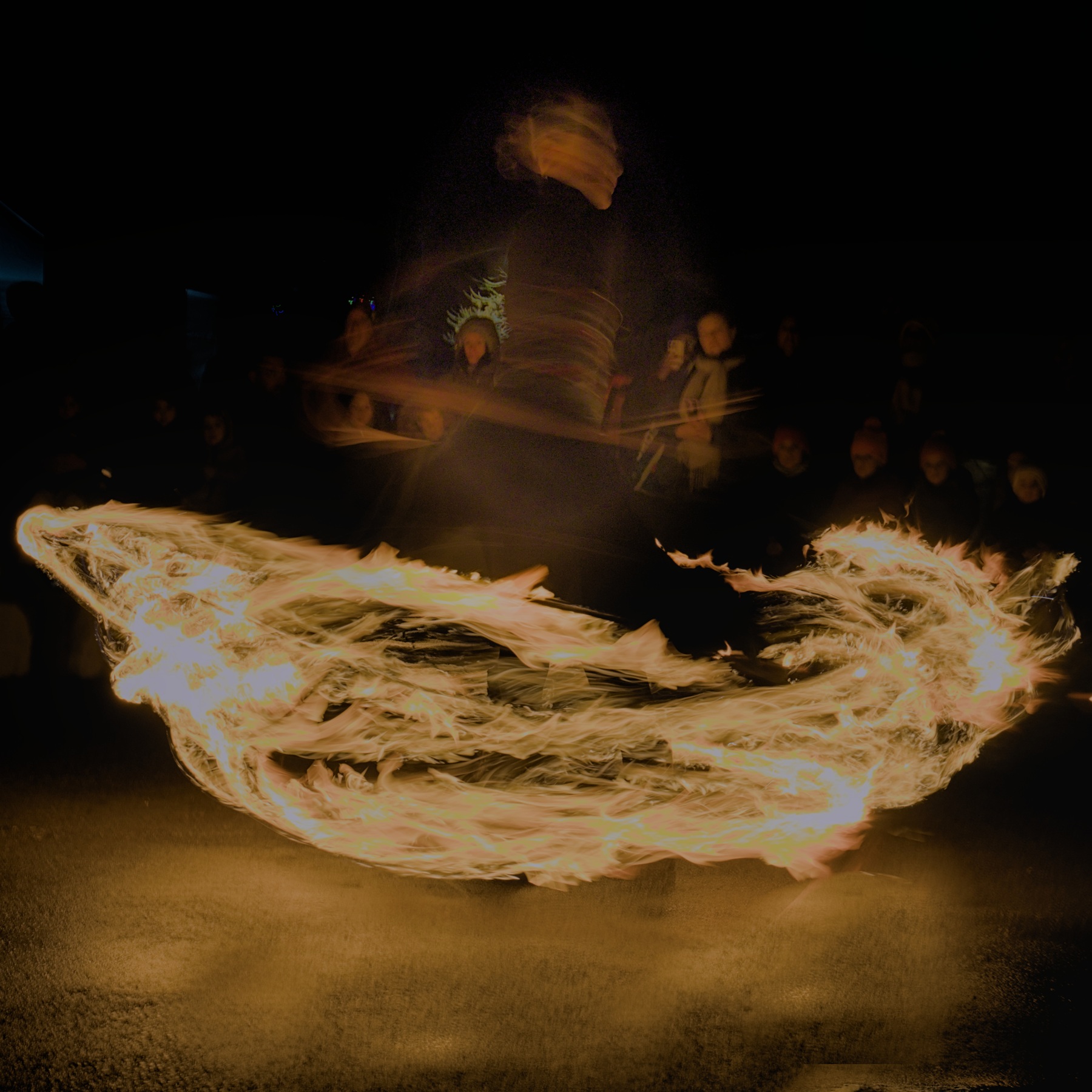 20251206_sophie_cochon-15