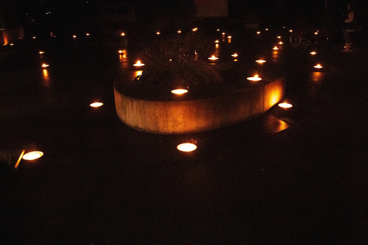 20251216-Casson_Waltraud02