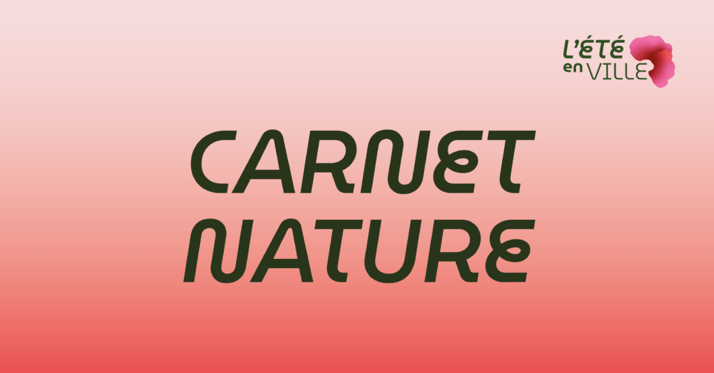 Carnet nature – Le Vieux-Bourg comme vous ne l’avez jamais vu !
